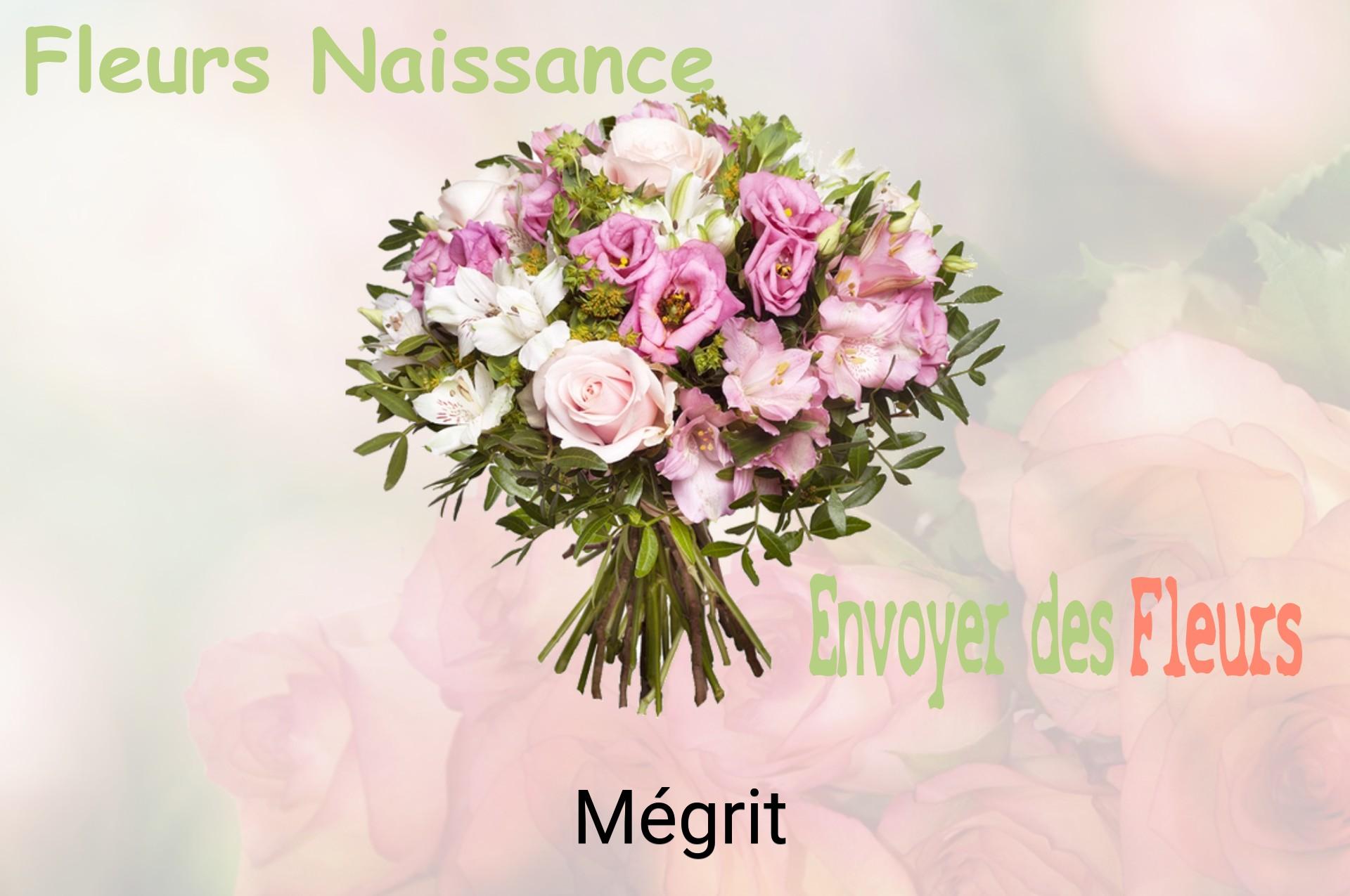 Bouquet de fleurs de naissance livré à Mégrit